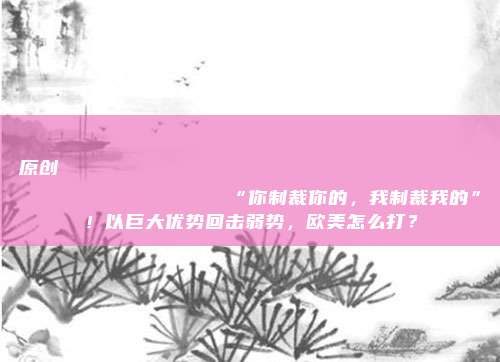 原创
                “你制裁你的，我制裁我的”！以巨大优势回击弱势，欧美怎么打？