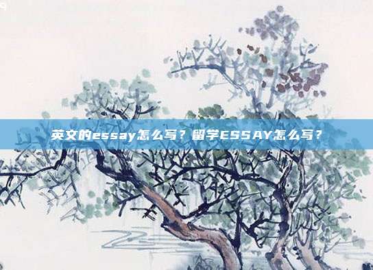 英文的essay怎么写？留学ESSAY怎么写？