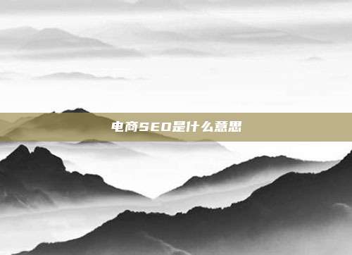 电商SEO是什么意思