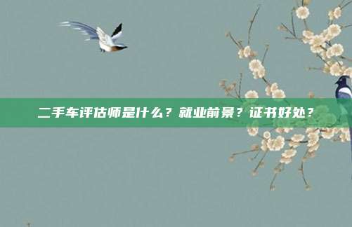 二手车评估师是什么？就业前景？证书好处？