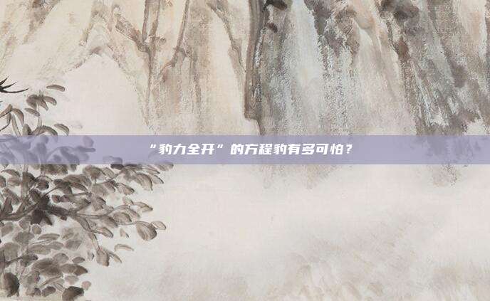 “豹力全开”的方程豹有多可怕？