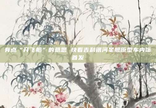 有点“开飞船”的意思 快看吉利银河星舰原型车内饰首发