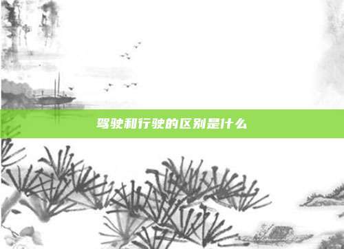 驾驶和行驶的区别是什么