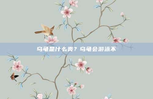 乌龟是什么类？乌龟会游泳不