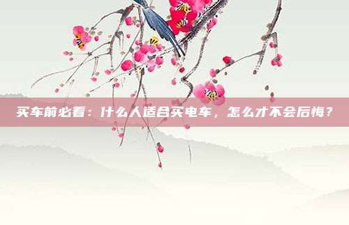 买车前必看:什么人适合买电车,怎么才不会后悔?