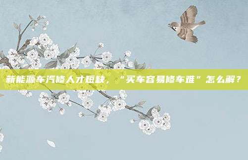 新能源车汽修人才短缺，“买车容易修车难”怎么解？