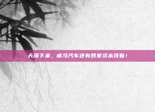 天塌下来，威马汽车还有四家资本顶着！