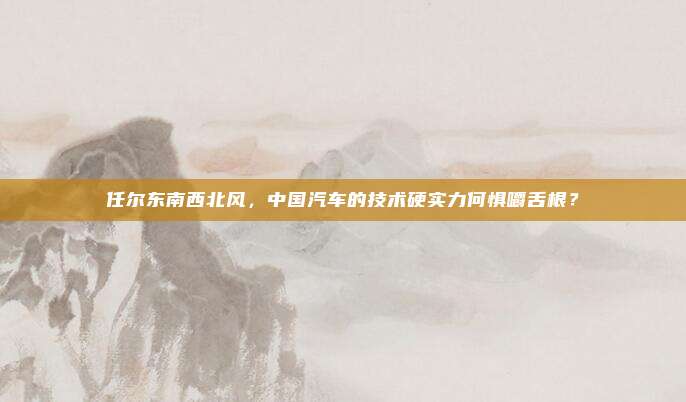 任尔东南西北风，中国汽车的技术硬实力何惧嚼舌根？