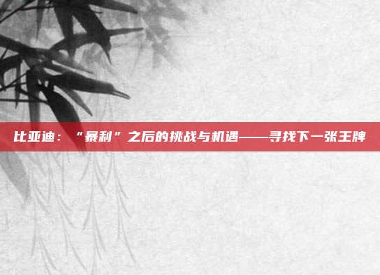 比亚迪:“暴利”之后的挑战与机遇——寻找下一张王牌