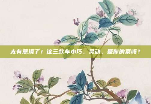 太有意境了!这三款车小巧,灵动,是你的菜吗?