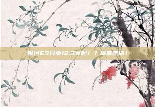 银河E5只要12.3W起！？拿来吧你！