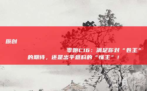 原创
                零跑C16：满足你对“卷王”的期待，还是出乎意料的“懂王”！