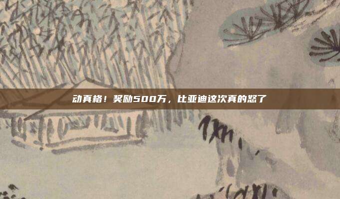 动真格！奖励500万，比亚迪这次真的怒了