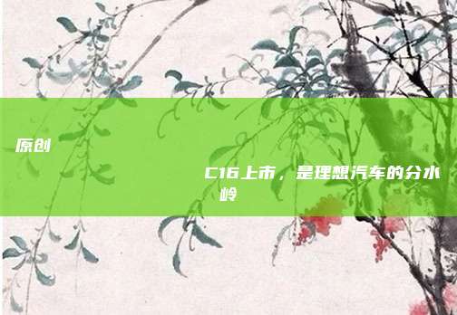 原创
                C16上市，是理想汽车的分水岭