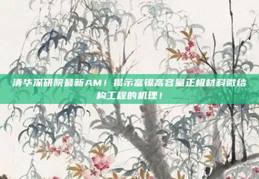 清华深研院最新AM！揭示富镍高容量正极材料微结构工程的机理！