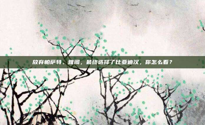 放弃帕萨特、雅阁，最终选择了比亚迪汉，你怎么看？