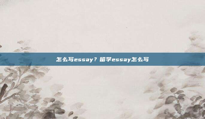 怎么写essay？留学essay怎么写