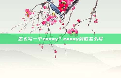 怎么写一个essay？essay到底怎么写