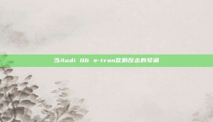 当Audi Q6 e-tron吹响反击的号角