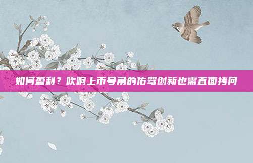 如何盈利？吹响上市号角的佑驾创新也需直面拷问
