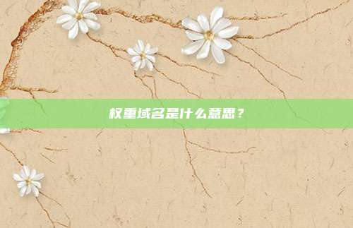 权重域名是什么意思？