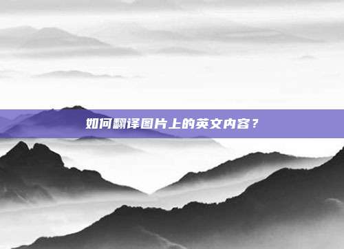 如何翻译图片上的英文内容？