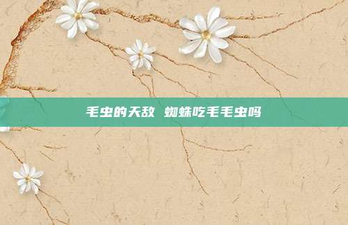 毛虫的天敌 蜘蛛吃毛毛虫吗
