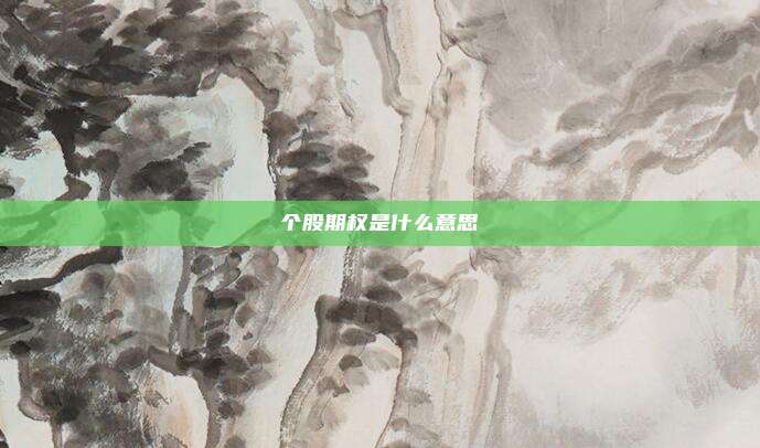 个股期权是什么意思