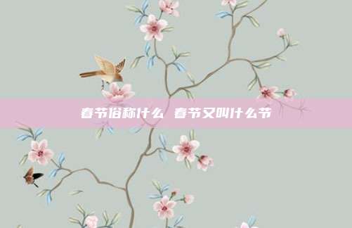 春节俗称什么 春节又叫什么节