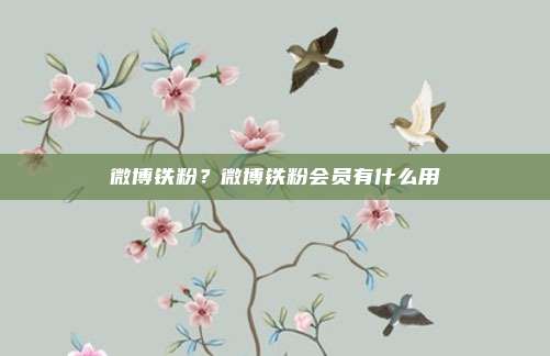 微博铁粉？微博铁粉会员有什么用