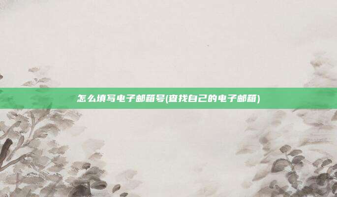 怎么填写电子邮箱号(查找自己的电子邮箱)