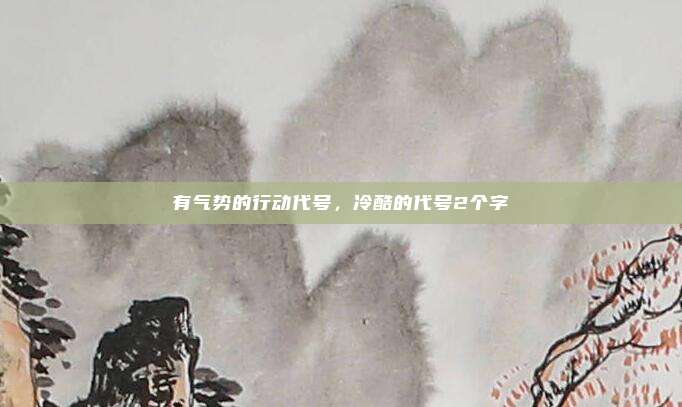 有气势的行动代号，冷酷的代号2个字