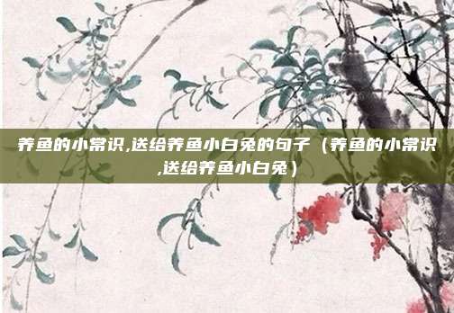 养鱼的小常识,送给养鱼小白兔的句子（养鱼的小常识,送给养鱼小白兔）