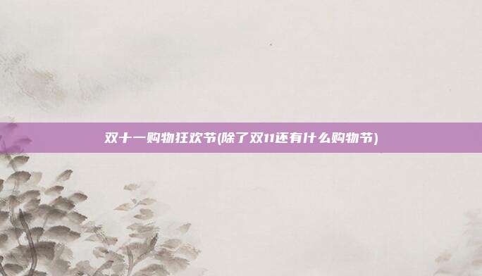 双十一购物狂欢节(除了双11还有什么购物节)