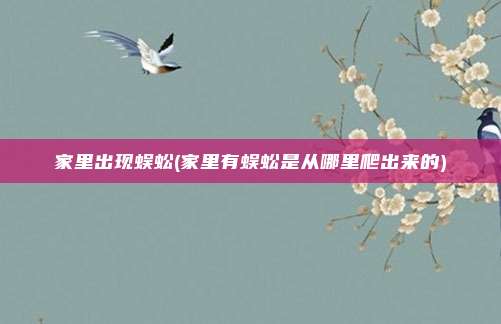 家里出现蜈蚣(家里有蜈蚣是从哪里爬出来的)