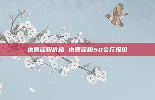 木薯淀粉价格 木薯淀粉50公斤报价