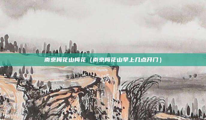 南京梅花山梅花（南京梅花山早上几点开门）
