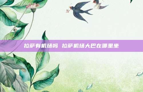 拉萨有机场吗 拉萨机场大巴在哪里坐