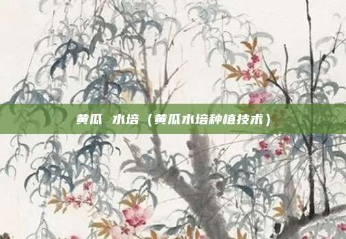 黄瓜 水培（黄瓜水培种植技术）