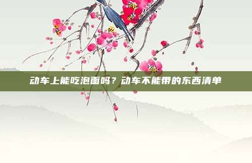 动车上能吃泡面吗？动车不能带的东西清单