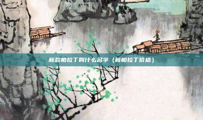 新款帕拉丁叫什么名字(新帕拉丁价格)