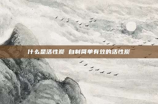什么是活性炭 自制简单有效的活性炭