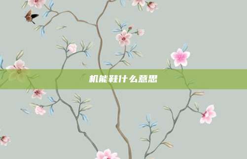 机能鞋什么意思