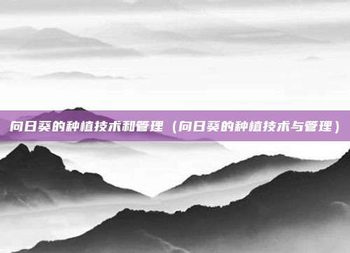 向日葵的种植技术和管理(向日葵的种植技术与管理)