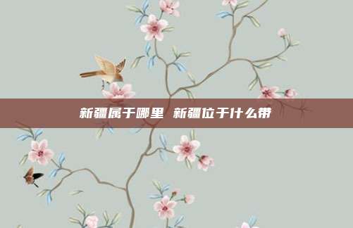 新疆属于哪里 新疆位于什么带