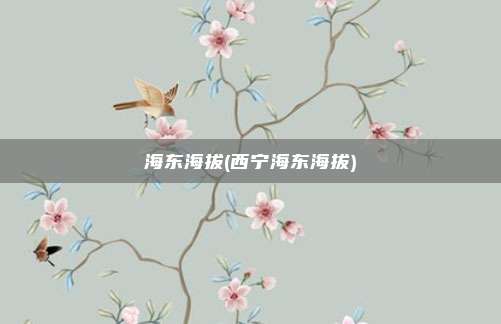 海东海拔(西宁海东海拔)