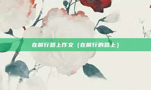 在前行路上作文(在前行的路上)