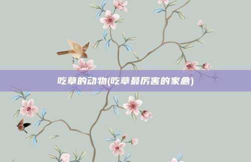 吃草的动物(吃草最厉害的家禽)