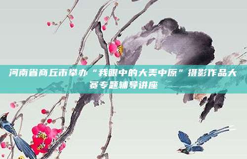 河南省商丘市举办“我眼中的大美中原”摄影作品大赛专题辅导讲座
