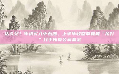 活久见！年初买入中石油，上半年收益率竟能“吊打”几乎所有公募基金
